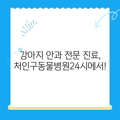 강아지 안과 검진 필수 체크리스트| 처인구동물병원24시 | 강아지 안과 질환, 안과 검진, 처인구 동물병원