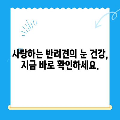 강아지 안과 검진 필수 체크리스트| 처인구동물병원24시 | 강아지 안과 질환, 안과 검진, 처인구 동물병원