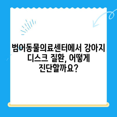 대구 범어동물의료센터 강아지 디스크 검진기| 자세한 정보와 검사 과정 | 반려견 건강, 척추 질환, 디스크