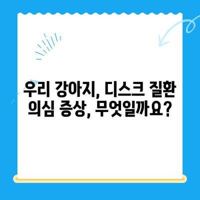 대구 범어동물의료센터 강아지 디스크 검진기| 자세한 정보와 검사 과정 | 반려견 건강, 척추 질환, 디스크