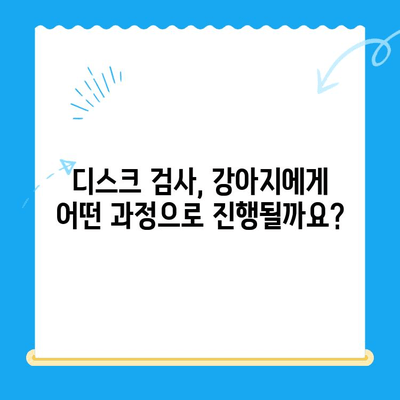 대구 범어동물의료센터 강아지 디스크 검진기| 자세한 정보와 검사 과정 | 반려견 건강, 척추 질환, 디스크