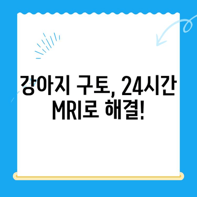 24시간 MRI로 강아지 구토 치료, 성공 사례 공개! | 반려동물 응급, 구토 원인, 치료 과정