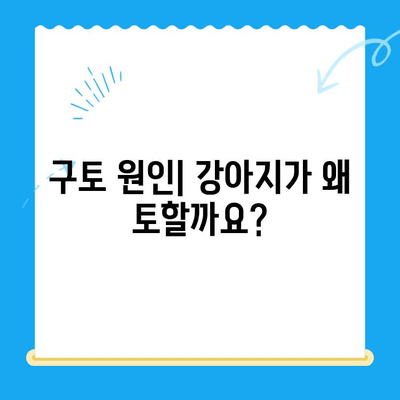 24시간 MRI로 강아지 구토 치료, 성공 사례 공개! | 반려동물 응급, 구토 원인, 치료 과정