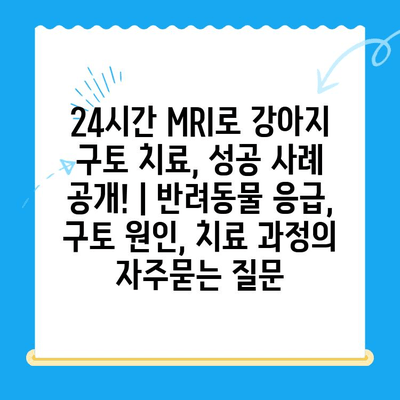 24시간 MRI로 강아지 구토 치료, 성공 사례 공개! | 반려동물 응급, 구토 원인, 치료 과정