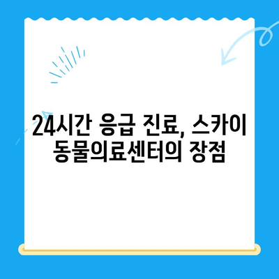 천안 강아지 건강검진, 24시 스카이 동물의료센터 비용 & 추천 | 강아지 건강검진, 천안 동물병원, 24시 동물병원