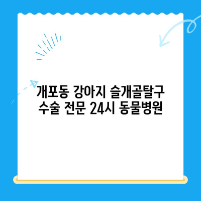 개포동 강아지 슬개골탈구 수술 전문 24시 동물병원| 빠르고 안전한 치료 | 슬개골탈구, 강아지 수술, 24시 동물병원, 개포동