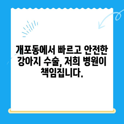 개포동 강아지 슬개골탈구 수술 전문 24시 동물병원| 빠르고 안전한 치료 | 슬개골탈구, 강아지 수술, 24시 동물병원, 개포동