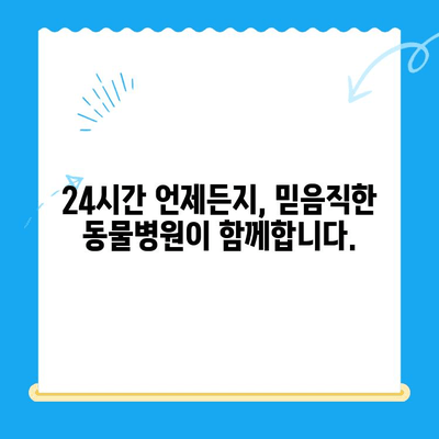 개포동 강아지 슬개골탈구 수술 전문 24시 동물병원| 빠르고 안전한 치료 | 슬개골탈구, 강아지 수술, 24시 동물병원, 개포동