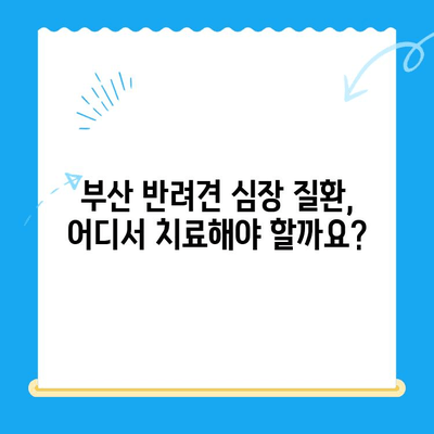 부산 반려견 심장 질환 전문 병원| 