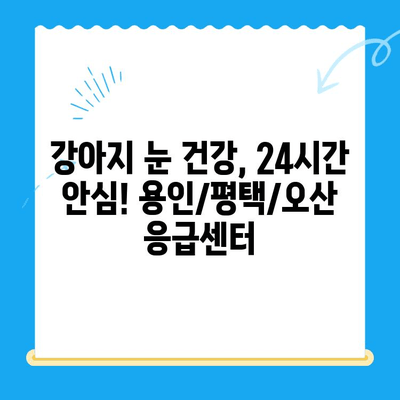 용인/평택/오산 24시간 동물병원 응급센터| 강아지 안과 검진 후기 | 강아지 눈 건강, 응급 상황 대처, 전문의 추천