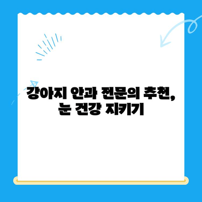 용인/평택/오산 24시간 동물병원 응급센터| 강아지 안과 검진 후기 | 강아지 눈 건강, 응급 상황 대처, 전문의 추천