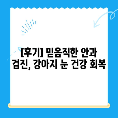 용인/평택/오산 24시간 동물병원 응급센터| 강아지 안과 검진 후기 | 강아지 눈 건강, 응급 상황 대처, 전문의 추천