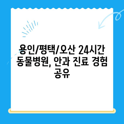 용인/평택/오산 24시간 동물병원 응급센터| 강아지 안과 검진 후기 | 강아지 눈 건강, 응급 상황 대처, 전문의 추천