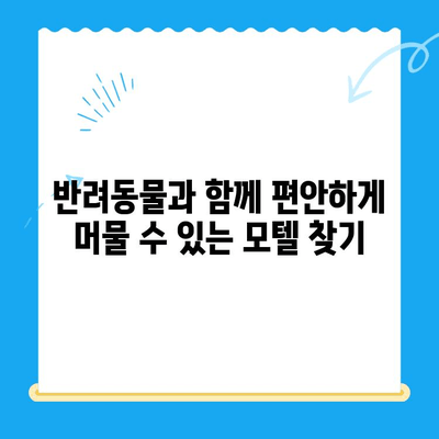 예은동물병원24시 근처, 밤샘 보호자를 위한 모텔 추천 가이드 | 동물병원, 24시, 숙박, 편의시설