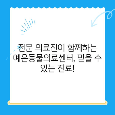 강남 24시 예은동물의료센터, 드디어 문을 엽니다! | 24시 응급진료,  전문 의료진, 반려동물 건강