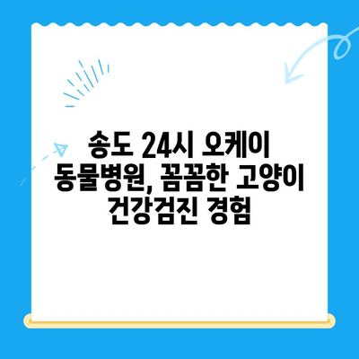 송도 24시 오케이 동물병원 고양이 건강검진 후기| 꼼꼼한 검진부터 친절한 서비스까지 | 송도 동물병원, 고양이 건강검진, 후기