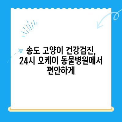 송도 24시 오케이 동물병원 고양이 건강검진 후기| 꼼꼼한 검진부터 친절한 서비스까지 | 송도 동물병원, 고양이 건강검진, 후기