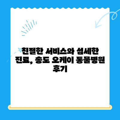 송도 24시 오케이 동물병원 고양이 건강검진 후기| 꼼꼼한 검진부터 친절한 서비스까지 | 송도 동물병원, 고양이 건강검진, 후기