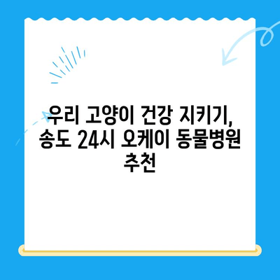 송도 24시 오케이 동물병원 고양이 건강검진 후기| 꼼꼼한 검진부터 친절한 서비스까지 | 송도 동물병원, 고양이 건강검진, 후기