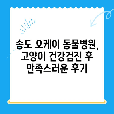 송도 24시 오케이 동물병원 고양이 건강검진 후기| 꼼꼼한 검진부터 친절한 서비스까지 | 송도 동물병원, 고양이 건강검진, 후기