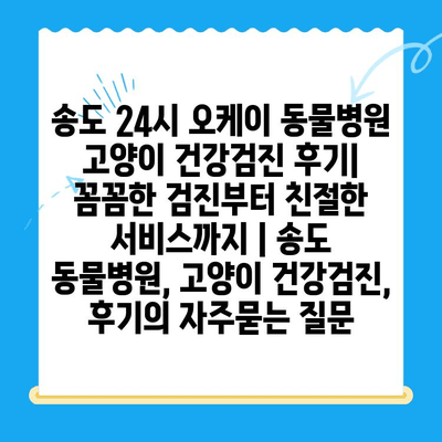 송도 24시 오케이 동물병원 고양이 건강검진 후기| 꼼꼼한 검진부터 친절한 서비스까지 | 송도 동물병원, 고양이 건강검진, 후기