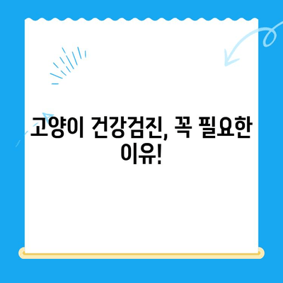 고양이 건강검진, 꼭 필요한 이유! 24시폴 동물병원에서 알려드립니다 | 고양이 건강, 건강검진, 24시 동물병원, 예방접종, 건강관리