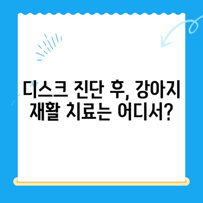 강아지 디스크 검진 후, 대구 동물병원 추천 | 디스크, 강아지, 동물병원, 대구, 추천