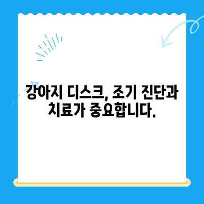 강아지 디스크 검진 후, 대구 동물병원 추천 | 디스크, 강아지, 동물병원, 대구, 추천