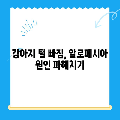 강아지 알로페시아 피부 검사 & 갑상선기능저하증 확인| 일산 고양 화정동 24시 탑케어 동물병원 | 알로페시아, 털 빠짐, 갑상선, 건강검진