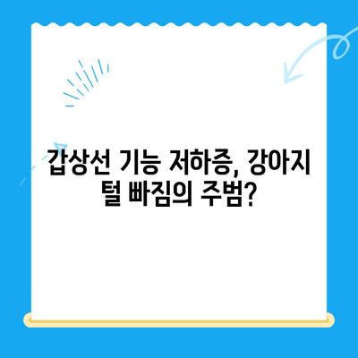 강아지 알로페시아 피부 검사 & 갑상선기능저하증 확인| 일산 고양 화정동 24시 탑케어 동물병원 | 알로페시아, 털 빠짐, 갑상선, 건강검진