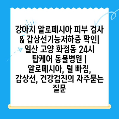 강아지 알로페시아 피부 검사 & 갑상선기능저하증 확인| 일산 고양 화정동 24시 탑케어 동물병원 | 알로페시아, 털 빠짐, 갑상선, 건강검진