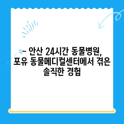 안산 24시간 동물병원, 포유 동물메디컬센터 이용 후기| 솔직한 경험 공유 | 안산 동물병원 추천, 야간 진료, 응급 진료