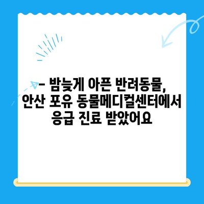 안산 24시간 동물병원, 포유 동물메디컬센터 이용 후기| 솔직한 경험 공유 | 안산 동물병원 추천, 야간 진료, 응급 진료
