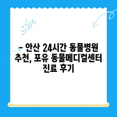 안산 24시간 동물병원, 포유 동물메디컬센터 이용 후기| 솔직한 경험 공유 | 안산 동물병원 추천, 야간 진료, 응급 진료