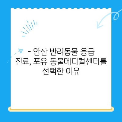 안산 24시간 동물병원, 포유 동물메디컬센터 이용 후기| 솔직한 경험 공유 | 안산 동물병원 추천, 야간 진료, 응급 진료