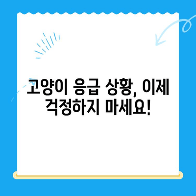 24시간 응급 상황! 고양이 검진 가이드 & 가까운 동물병원 찾기 | 밤낮없이 지켜주는 고양이 건강 지킴이