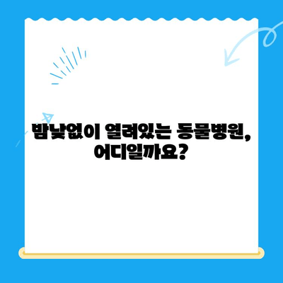 24시간 응급 상황! 고양이 검진 가이드 & 가까운 동물병원 찾기 | 밤낮없이 지켜주는 고양이 건강 지킴이