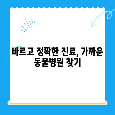 24시간 응급 상황! 고양이 검진 가이드 & 가까운 동물병원 찾기 | 밤낮없이 지켜주는 고양이 건강 지킴이