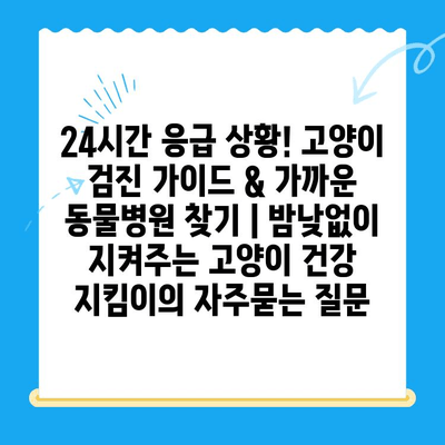 24시간 응급 상황! 고양이 검진 가이드 & 가까운 동물병원 찾기 | 밤낮없이 지켜주는 고양이 건강 지킴이