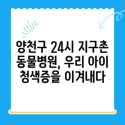 양천구 24시 지구촌 동물병원 강아지 청색증 치료 후기| 우리 아이의 기적 같은 회복 이야기 | 강아지 청색증, 동물병원 추천, 치료 경험