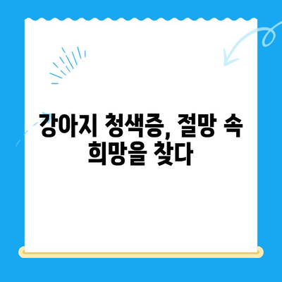 양천구 24시 지구촌 동물병원 강아지 청색증 치료 후기| 우리 아이의 기적 같은 회복 이야기 | 강아지 청색증, 동물병원 추천, 치료 경험