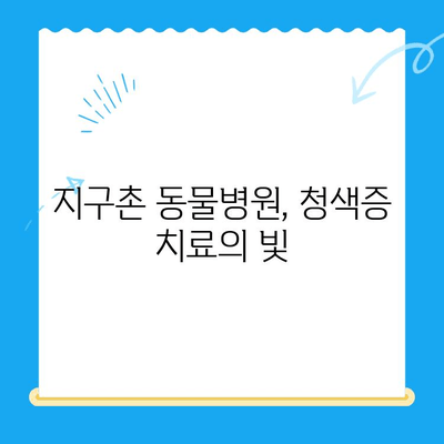 양천구 24시 지구촌 동물병원 강아지 청색증 치료 후기| 우리 아이의 기적 같은 회복 이야기 | 강아지 청색증, 동물병원 추천, 치료 경험