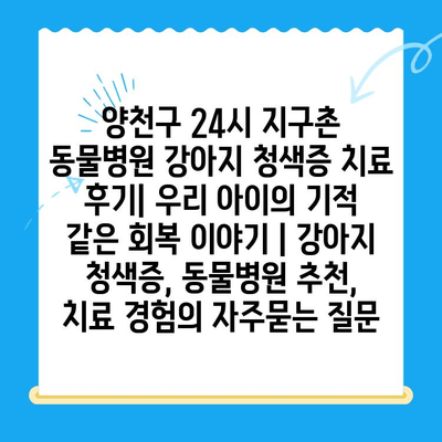 양천구 24시 지구촌 동물병원 강아지 청색증 치료 후기| 우리 아이의 기적 같은 회복 이야기 | 강아지 청색증, 동물병원 추천, 치료 경험