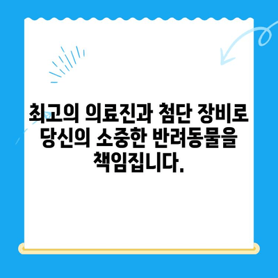 강남 예은동물의료센터| 최고 의료진과 첨단 장비로 당신의 반려동물 건강을 책임집니다 | 동물병원, 강남, 예은, 의료진, 첨단 장비