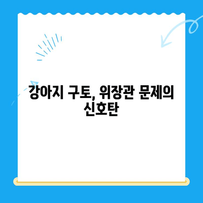 강아지 위장관 문제로 인한 구토| 원인 분석 & 치료비 공개 | 반려견 건강, 구토, 위장 질환, 진료비