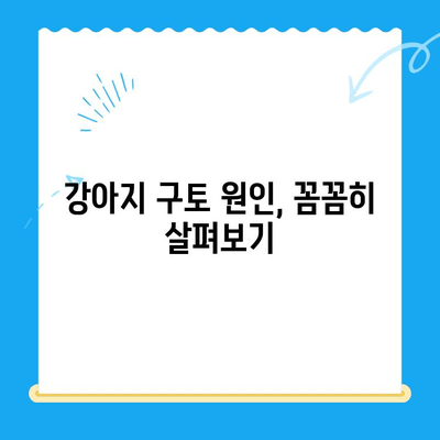 강아지 위장관 문제로 인한 구토| 원인 분석 & 치료비 공개 | 반려견 건강, 구토, 위장 질환, 진료비