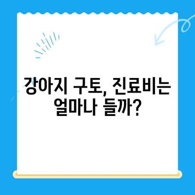 강아지 위장관 문제로 인한 구토| 원인 분석 & 치료비 공개 | 반려견 건강, 구토, 위장 질환, 진료비