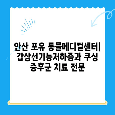안산 포유 동물메디컬센터, 갑상선기능저하증 & 쿠싱 증후군 치료 후 회복 과정 | 동물병원, 안산 24시 동물병원, 반려동물 건강