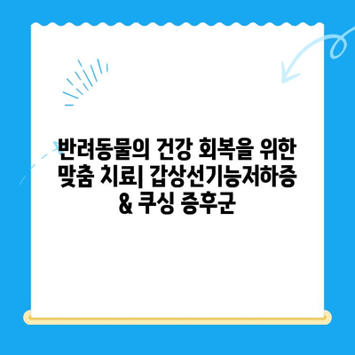 안산 포유 동물메디컬센터, 갑상선기능저하증 & 쿠싱 증후군 치료 후 회복 과정 | 동물병원, 안산 24시 동물병원, 반려동물 건강