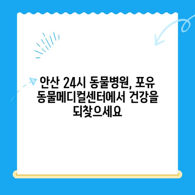 안산 포유 동물메디컬센터, 갑상선기능저하증 & 쿠싱 증후군 치료 후 회복 과정 | 동물병원, 안산 24시 동물병원, 반려동물 건강